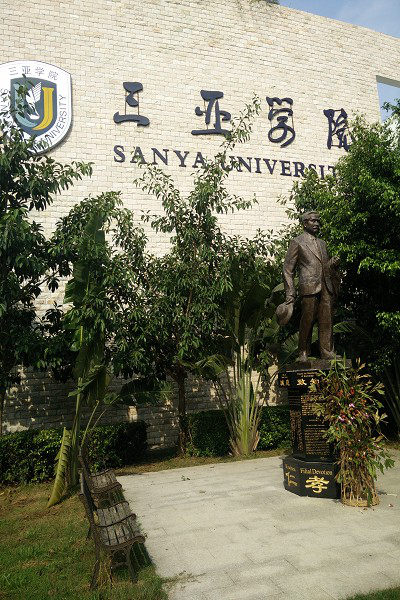 我的大学憧憬